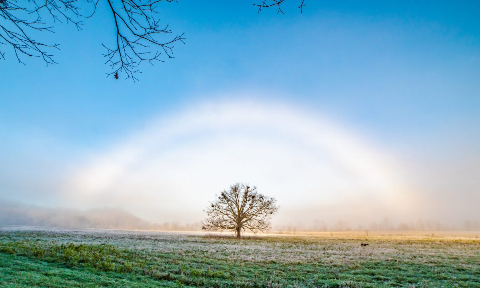 Smoky Mountain Photography Excursions Wildlife, Landscapes, Night Photography and Excursions